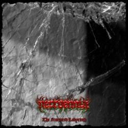 Necroennui : The Fractured Labyrinth Necroennui : The Fractured Labyrinth